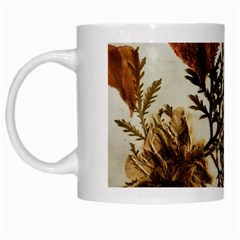 Holy Land Flowers 2 White Mugs