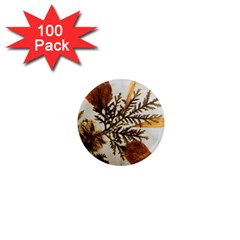 Holy Land Flowers 2 1  Mini Magnets (100 pack) 