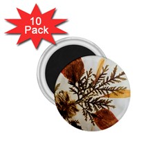 Holy Land Flowers 2 1.75  Magnets (10 pack) 