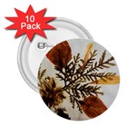 Holy Land Flowers 2 2.25  Buttons (10 pack)  Front