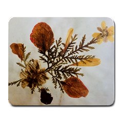 Holy Land Flowers 2 Large Mousepads