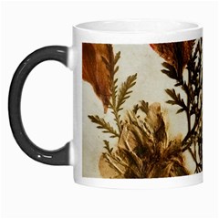 Holy Land Flowers 2 Morph Mugs