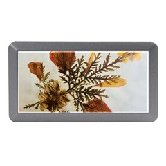 Holy Land Flowers 2 Memory Card Reader (Mini)