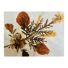 Holy Land Flowers 2 Double Sided Flano Blanket (Mini) 