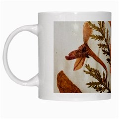 Holy Land Flowers 4 White Mugs by DeneWestUK