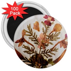 Holy Land Flowers 4 3  Magnets (100 Pack) by DeneWestUK