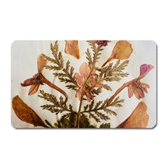 Holy Land Flowers 4 Magnet (rectangular) by DeneWestUK