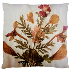 Holy Land Flowers 4 Large Cushion Case (one Side) by DeneWestUK