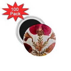 Holy Land Flowers 6 1 75  Magnets (100 Pack)  by DeneWestUK