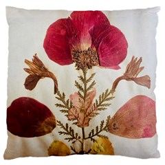 Holy Land Flowers 6 Standard Flano Cushion Case (two Sides) by DeneWestUK