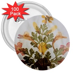 Holy Land Flowers 7 3  Buttons (100 Pack) 