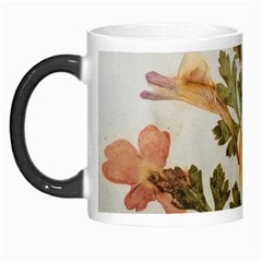 Holy Land Flowers 7 Morph Mugs by DeneWestUK