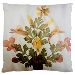 Holy Land Flowers 7 Standard Flano Cushion Case (two Sides) by DeneWestUK