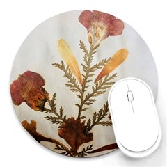 Holy Land Flowers 8 Round Mousepads by DeneWestUK