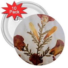 Holy Land Flowers 8 3  Buttons (10 Pack) 