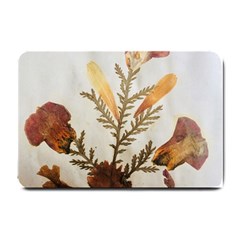 Holy Land Flowers 8 Small Doormat  by DeneWestUK