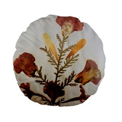 Holy Land Flowers 8 Standard 15  Premium Flano Round Cushions by DeneWestUK