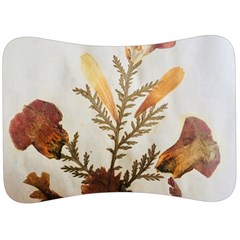 Holy Land Flowers 8 Velour Seat Head Rest Cushion