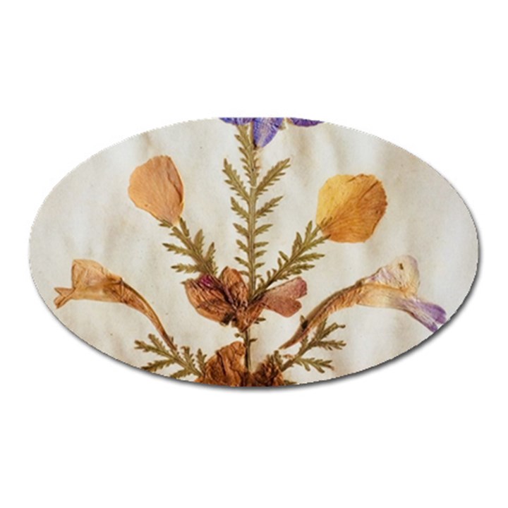 Holy Land Flowers 11 Oval Magnet