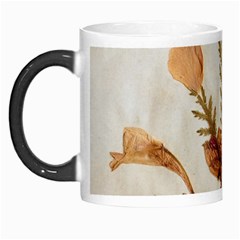 Holy Land Flowers 11 Morph Mugs by DeneWestUK