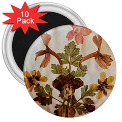 Holy Land Flowers 12 3  Magnets (10 Pack)  by DeneWestUK