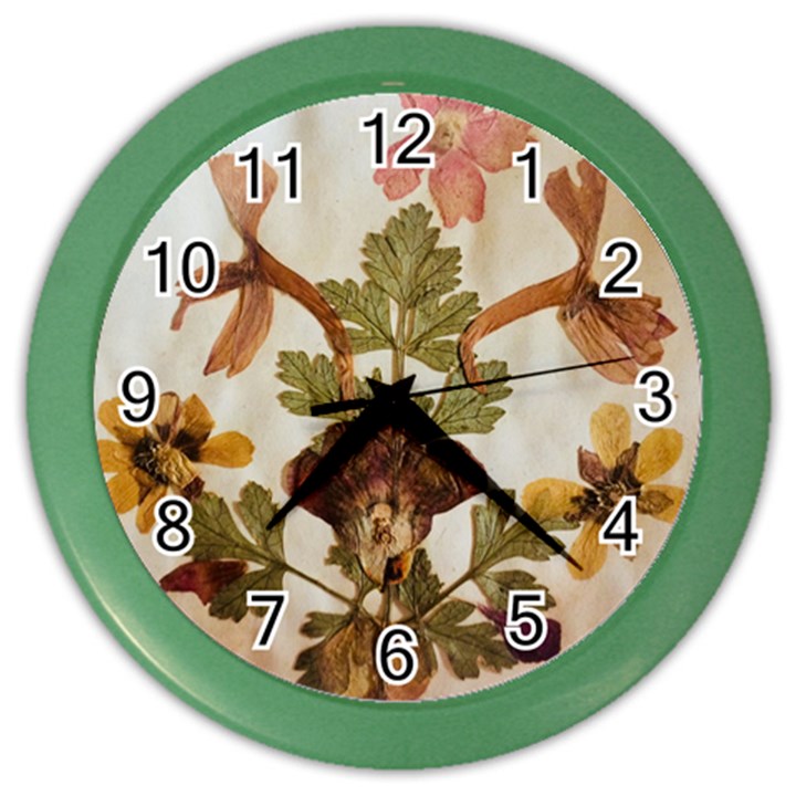 Holy Land Flowers 12 Color Wall Clock