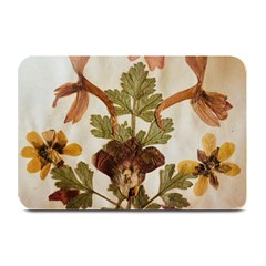 Holy Land Flowers 12 Plate Mats by DeneWestUK