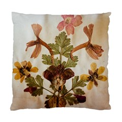 Holy Land Flowers 12 Standard Cushion Case (one Side) by DeneWestUK