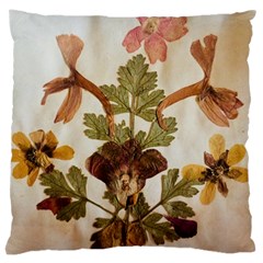 Holy Land Flowers 12 Large Cushion Case (two Sides) by DeneWestUK