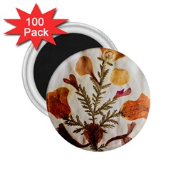 Holy Land Flowers 13 2.25  Magnets (100 pack) 