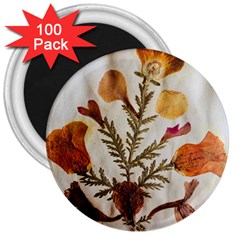 Holy Land Flowers 13 3  Magnets (100 pack)