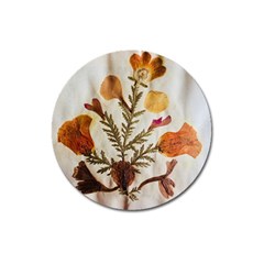 Holy Land Flowers 13 Magnet 3  (Round)