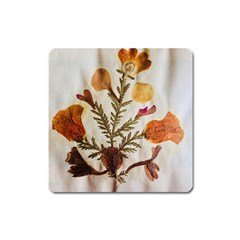 Holy Land Flowers 13 Square Magnet