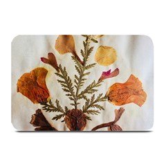 Holy Land Flowers 13 Plate Mats