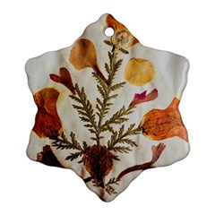 Holy Land Flowers 13 Ornament (Snowflake)