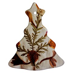 Holy Land Flowers 13 Ornament (Christmas Tree) 