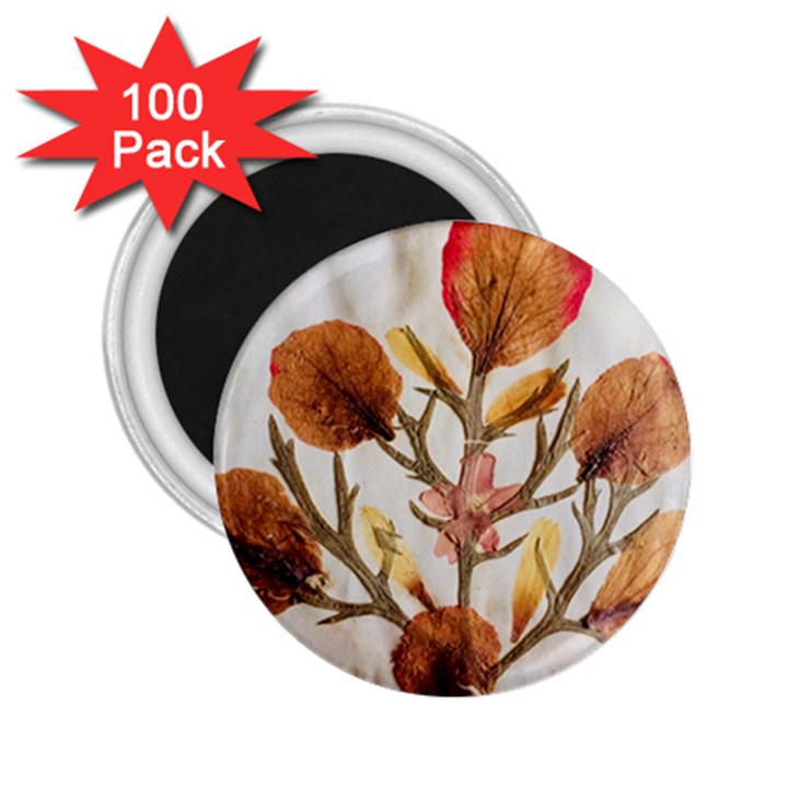 Holy Land Flowers 14 2.25  Magnets (100 pack) 