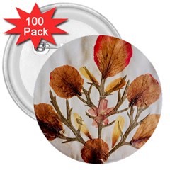 Holy Land Flowers 14 3  Buttons (100 Pack) 