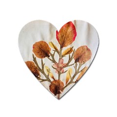 Holy Land Flowers 14 Heart Magnet by DeneWestUK