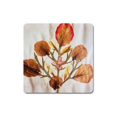 Holy Land Flowers 14 Square Magnet by DeneWestUK