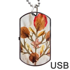 Holy Land Flowers 14 Dog Tag Usb Flash (two Sides) by DeneWestUK