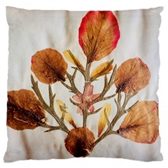 Holy Land Flowers 14 Standard Flano Cushion Case (two Sides) by DeneWestUK