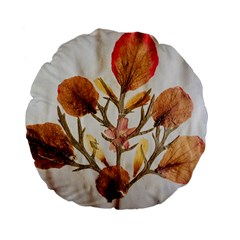 Holy Land Flowers 14 Standard 15  Premium Flano Round Cushions by DeneWestUK