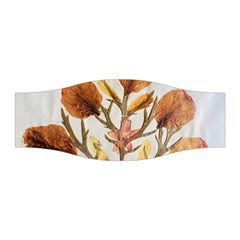 Holy Land Flowers 14 Stretchable Headband by DeneWestUK