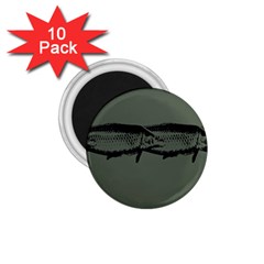 Carp Fish 1 75  Magnets (10 Pack) 