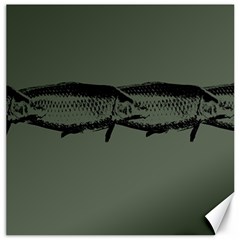 Carp Fish Canvas 20  X 20 