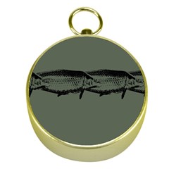 Carp Fish Gold Compasses