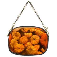 Pumpkins Tiny Gourds Pile Chain Purse (two Sides) by bloomingvinedesign