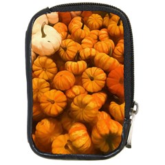 Pumpkins Tiny Gourds Pile Compact Camera Leather Case by bloomingvinedesign