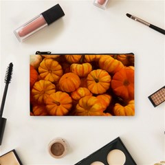 Pumpkins Tiny Gourds Pile Cosmetic Bag (small) by bloomingvinedesign